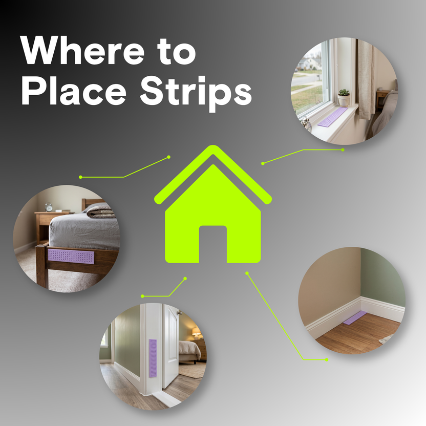 Signal Strip – Plant-Based Bug Barrier Strips | Zefria
